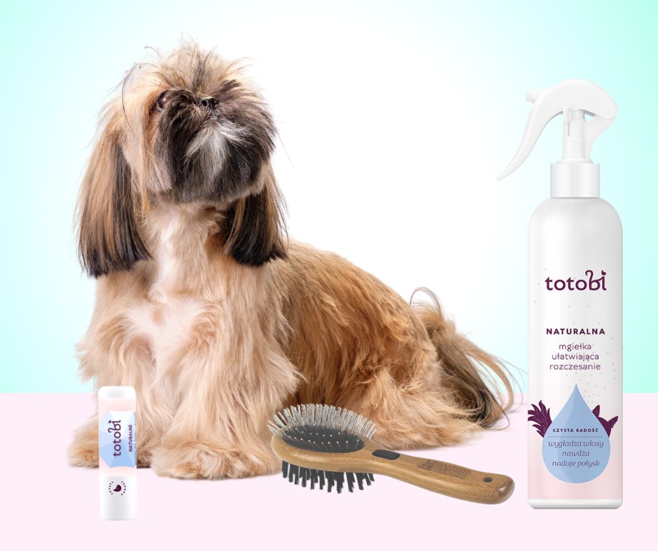 Naturalny szampon dla psów