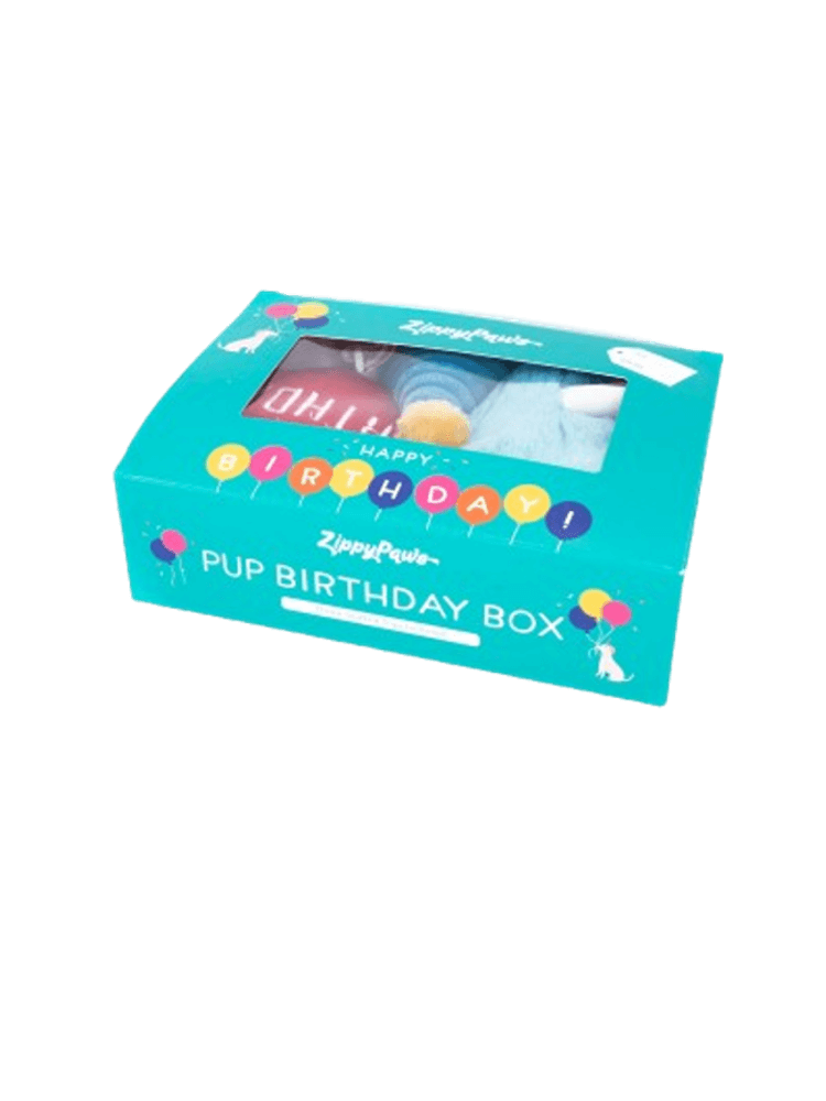 Pup Birthday Box Blue – Niebieski Box Urodzinowy