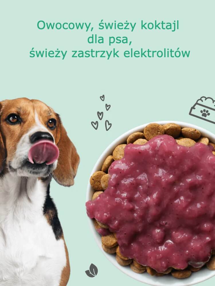 Dog Smoothie Bowl: Owocowy, świeży koktajl dla psa 200 g