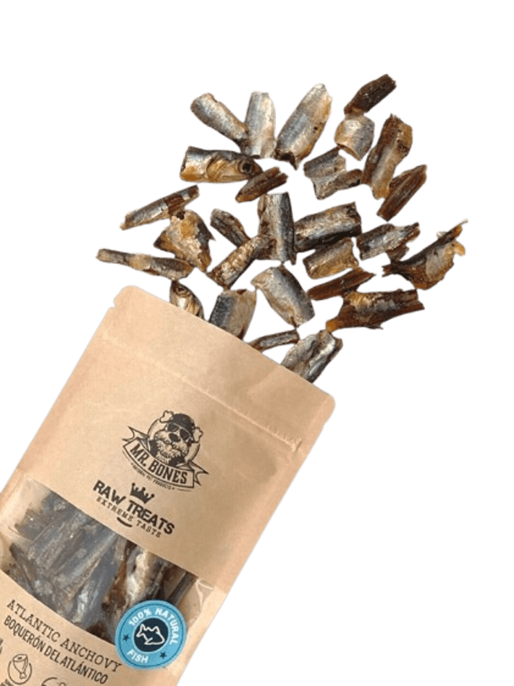 Raw Treats Atlantic Anchovy – Sardelki, Anchois dla psa i kota