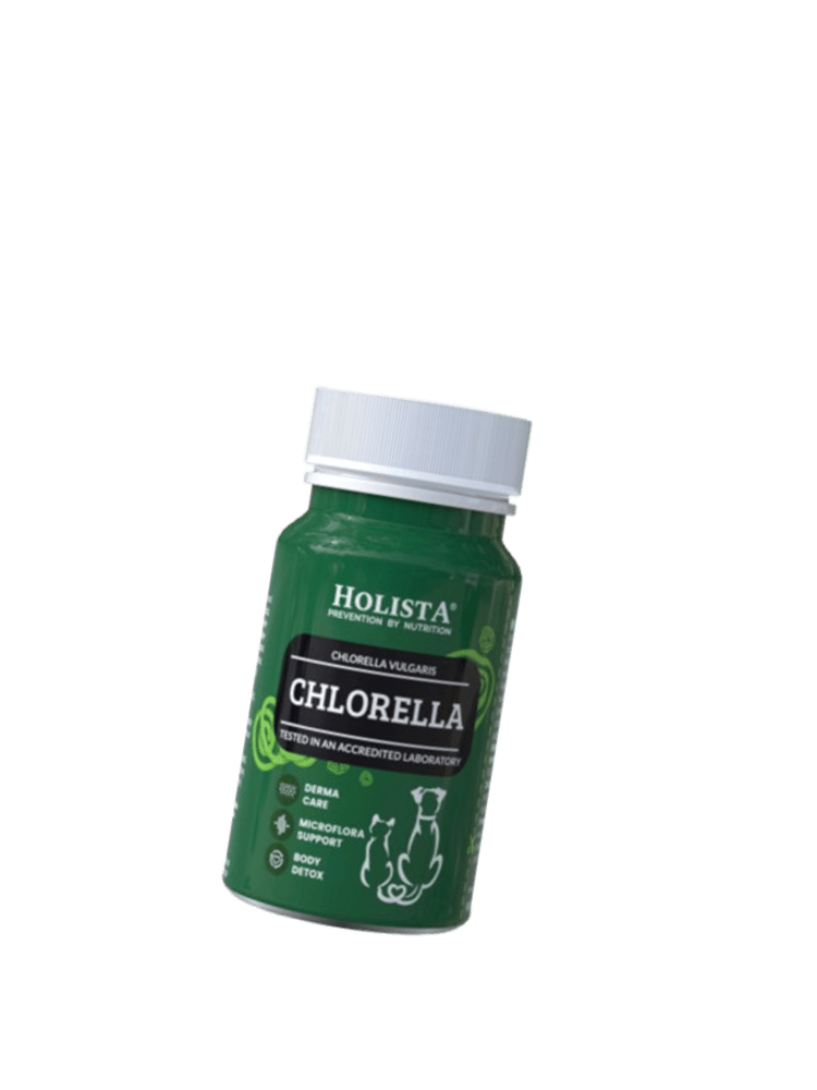 Chlorella 90 szt tabletek