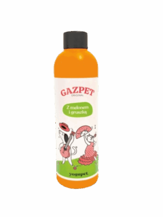 GAZPET jogurt dla psa i kota 250 ml melon gruszka
