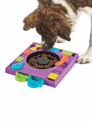 Kreatywna Łamigłówka  Dj Doggo DJ PIES-  gra umysłowa dla psa