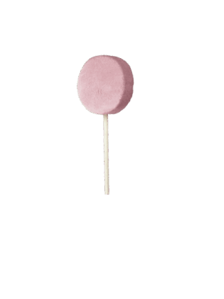 Cranberry - Żurawinowy Liofilizowany lizak mięsny dla psów, Lollipop 1 sztuka