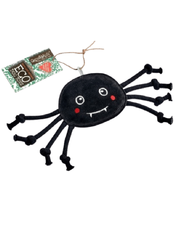 Fangus Tarantula