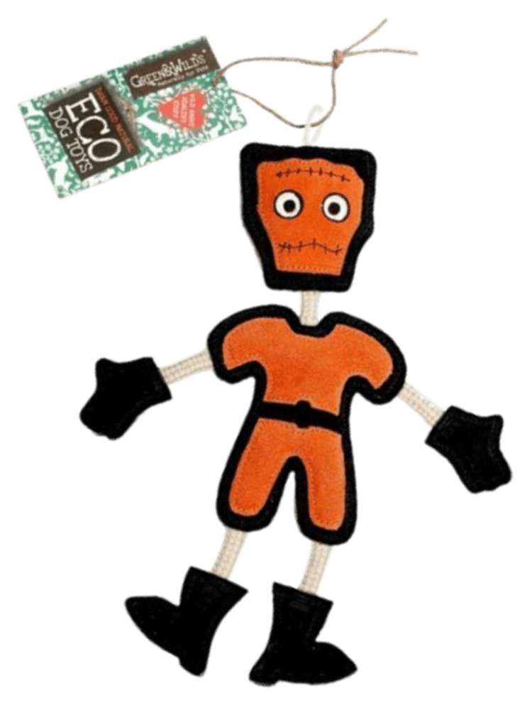 Frankie Stein