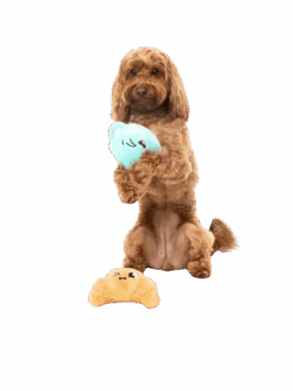 Zabawka dla Psa: Kubek Kawy (Puppaccino) – Poranna Dawka Energii