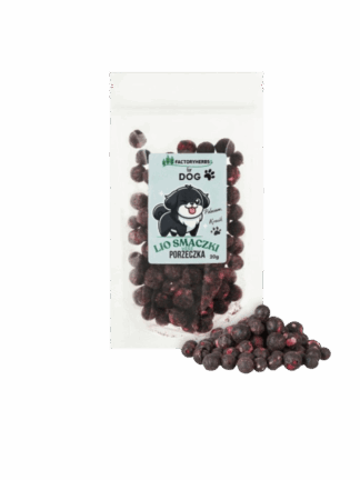 FOR DOG Liofilizowane smaczki dla psa porzeczka czarna 20 g