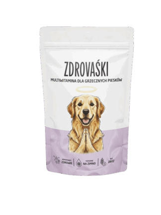 Zdrovaśki Suplementy dla psa Multiwitamina dla grzecznych piesków 160 g