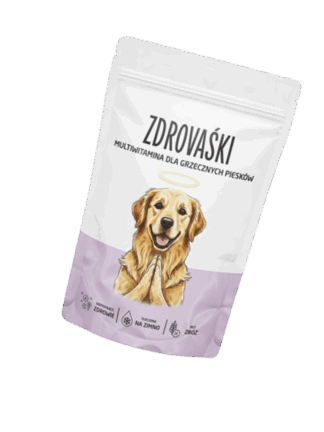 Zdrovaśki Suplementy dla psa Multiwitamina dla grzecznych piesków 160 g