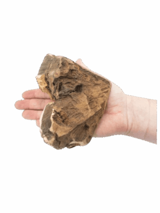 Korzeń wrzośca - Naturalny Gryzak dla Prawdziwych Niszczycieli, rozmiar XL