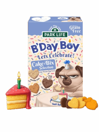 B’Day Boy Cake-Bix Selection – urodzinowy zestaw przysmaków dla niego, 240 g