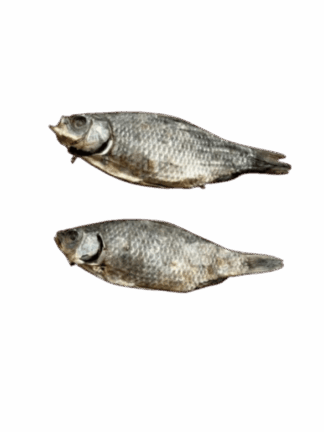 Karaś - Suszona Rybka 18 cm, 2 szt