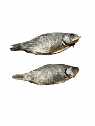 Karaś - Suszona Rybka 18 cm, 2 szt