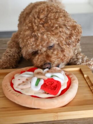 PEPPERONI PIZZA – Zabawka węchowa dla psa i kota