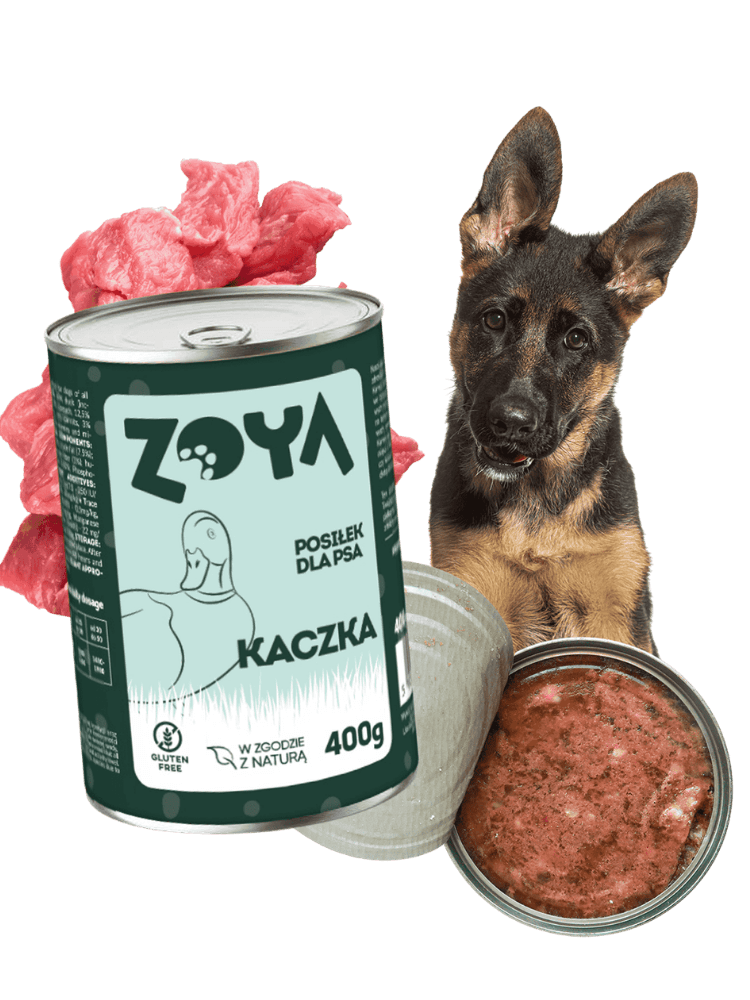 Karma Mokra dla Psa Kaczka – Monoproteinowa i Bezzbożowa formuła 400 g 