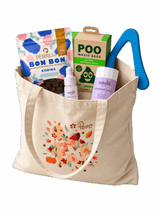 Bark to School - PO LEKCJACH – Czas na spacer