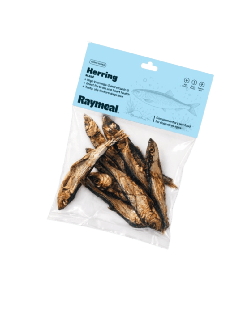 Whole Herring - Suszony Cały Śledź Naturalny Przysmak dla Psa
