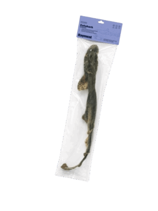 Catshark – Suszony Rekinek Koci Naturalny Gryzak dla Psa