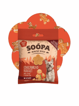 Healthy Bites – Gingerbread Biscuit - Piernikowe przysmaki, 50 g