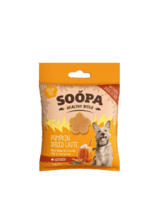 Healthy Bites – Pumpkin Spiced Latte - Dyniowe Latte, 50 g