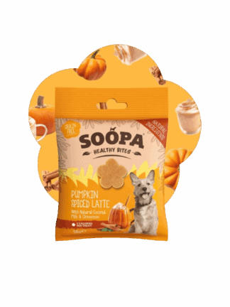 Healthy Bites – Pumpkin Spiced Latte - Dyniowe Latte, 50 g