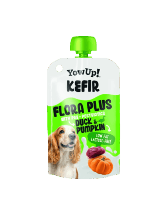 Kefir dla Psa z Dynią i Kaczką 115 g
