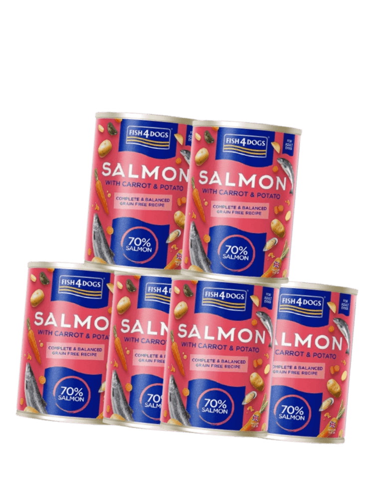 ZESTAW Salmon with Carro &Potato mokra karma dla psa Łosoś z marchewką i ziemniakami 6×395 g