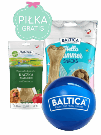 Zestaw 2+1 GRATIS Hello Summer Jagnięcina z Gruszką + Kość do Żucia Królik z Marchewką + Piłka Plażowa Gratis!