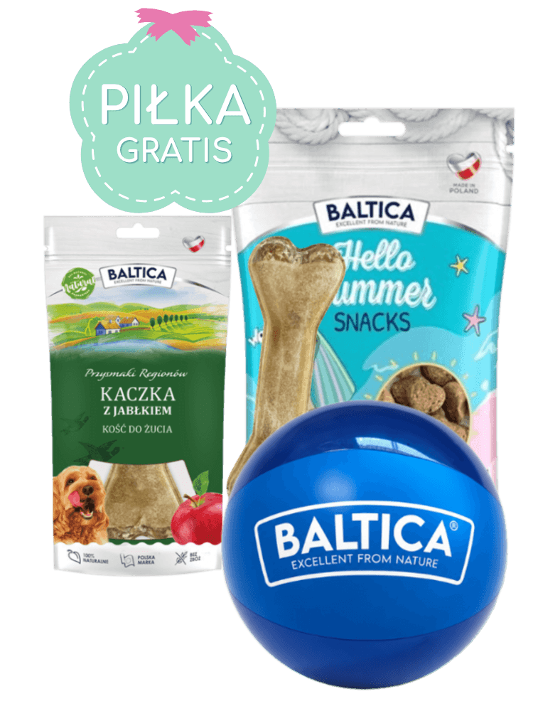 Zestaw 2+1 GRATIS Hello Summer Jagnięcina z Gruszką + Kość do Żucia Królik z Marchewką + Piłka Plażowa Gratis!