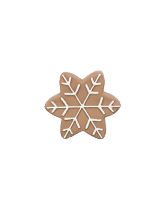 Xmas Świąteczna Gwiazdka - Lateksowa Zabawka dla psa, 10 cm